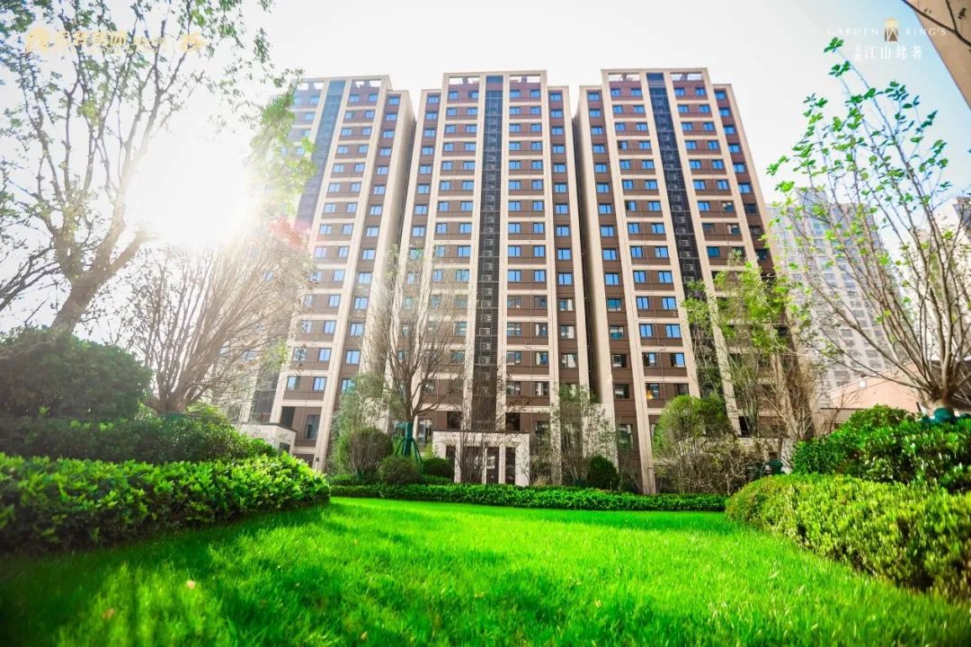 1668492125824969.jpg 7.jpg