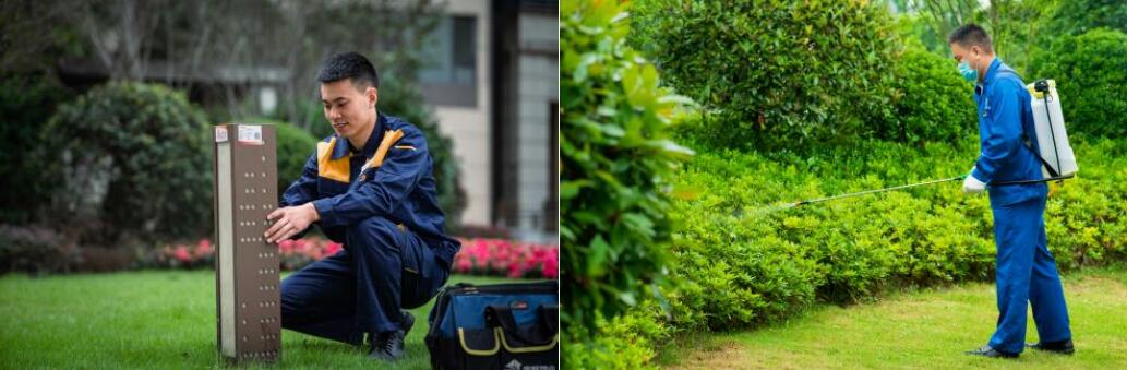 1668996245949958.jpg 16.jpg